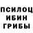 Псилоцибиновые грибы мухоморы Bin Fox