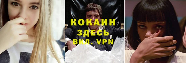 гашик Богданович