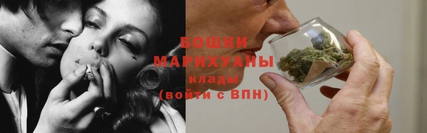 гидра Арсеньев