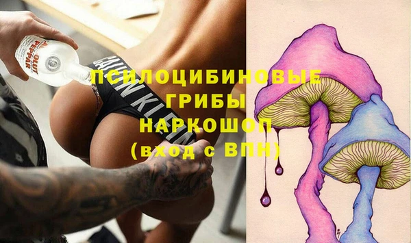 гидра Арсеньев