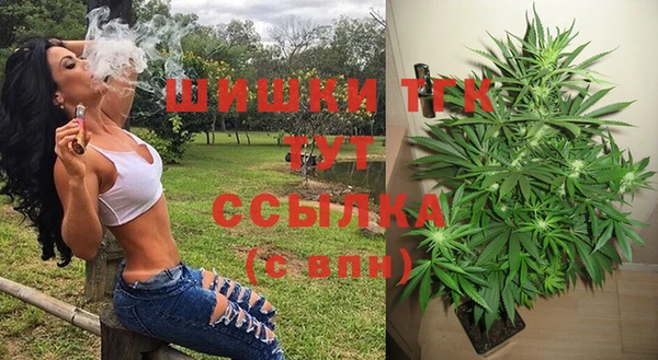 гидра Арсеньев