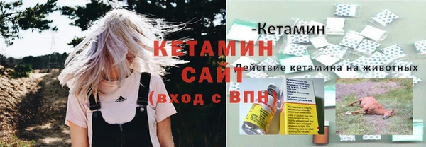гидра Арсеньев