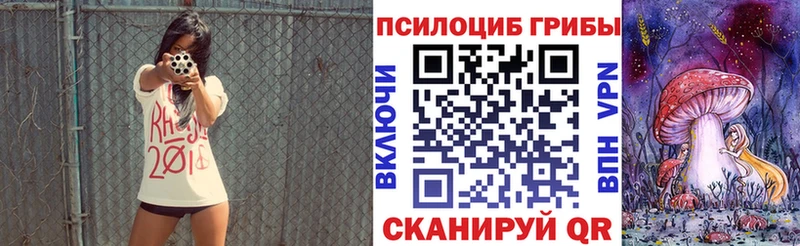 дарнет шоп  KRAKEN вход  Псилоцибиновые грибы мицелий  Козьмодемьянск 
